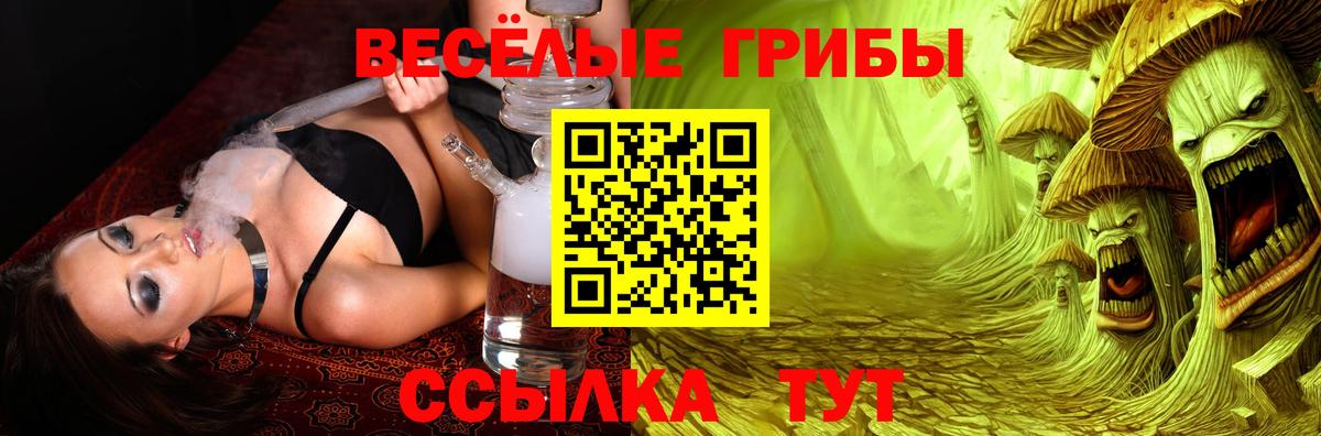 Тамбов  Галлюциногенные грибы Cubensis  Вход с VPN 